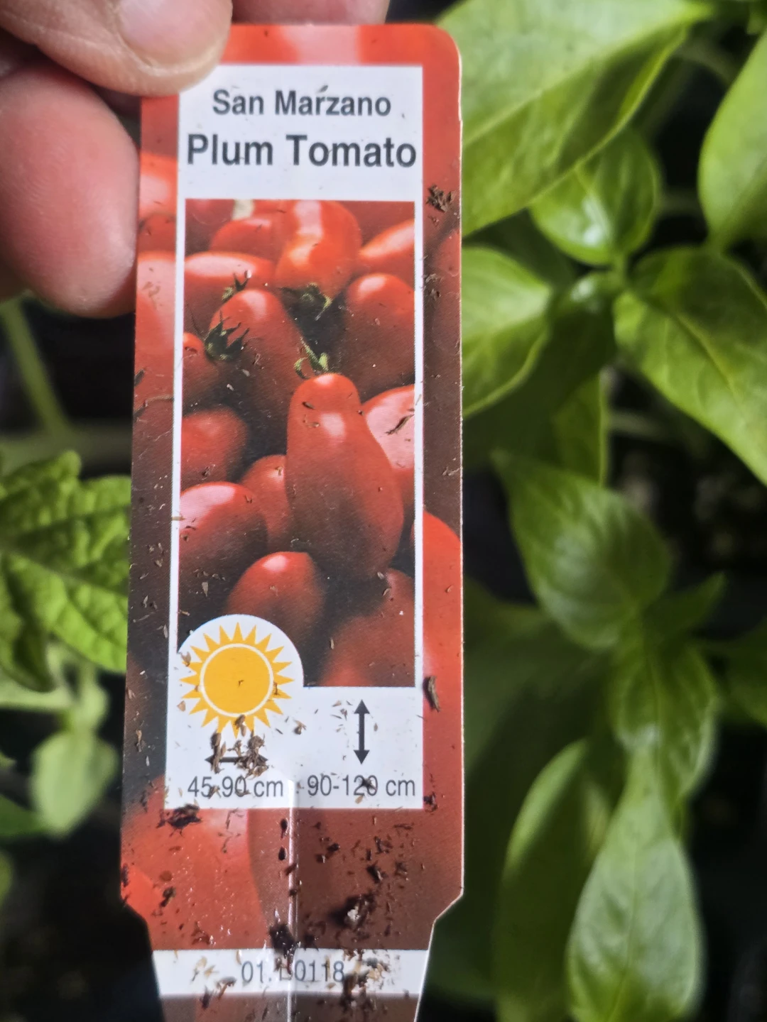 Tomato, Eggplant, Pepper, and Plum Tomato Plant Tags - photo 4