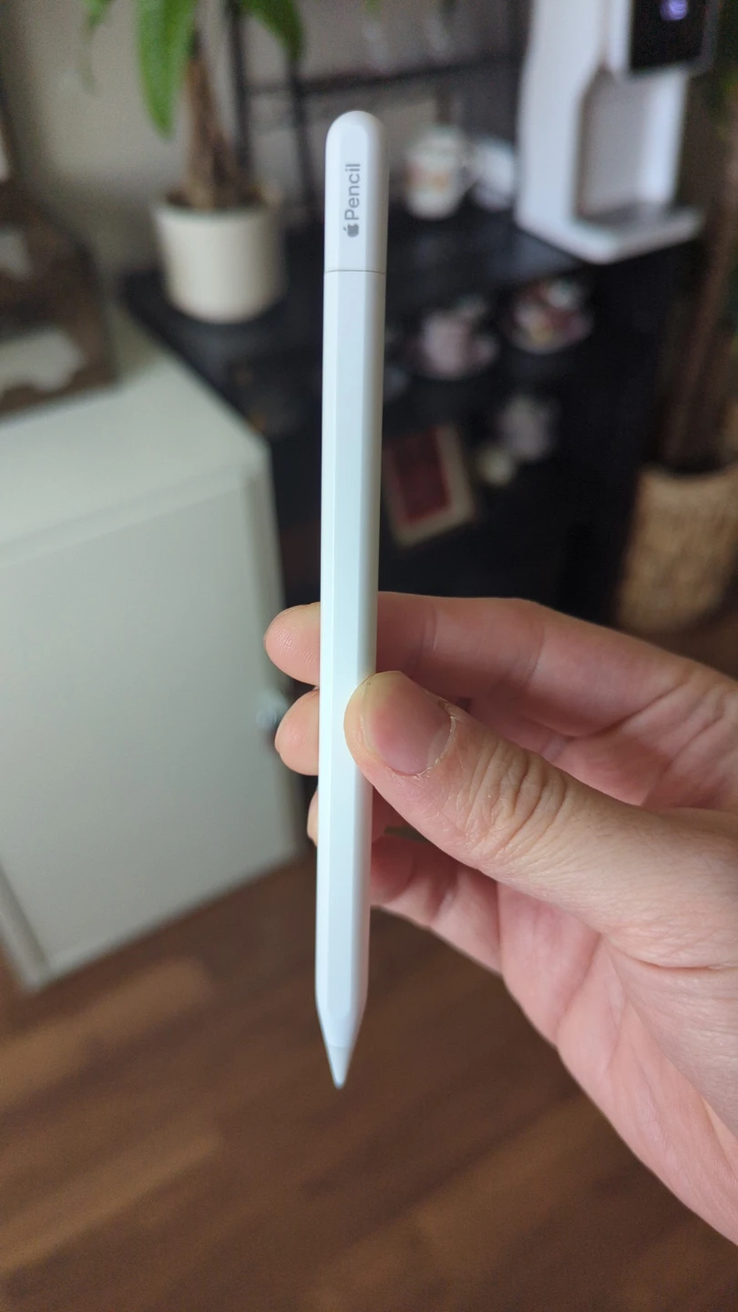 Apple Pencil (1st Gen USB-c) - photo 2