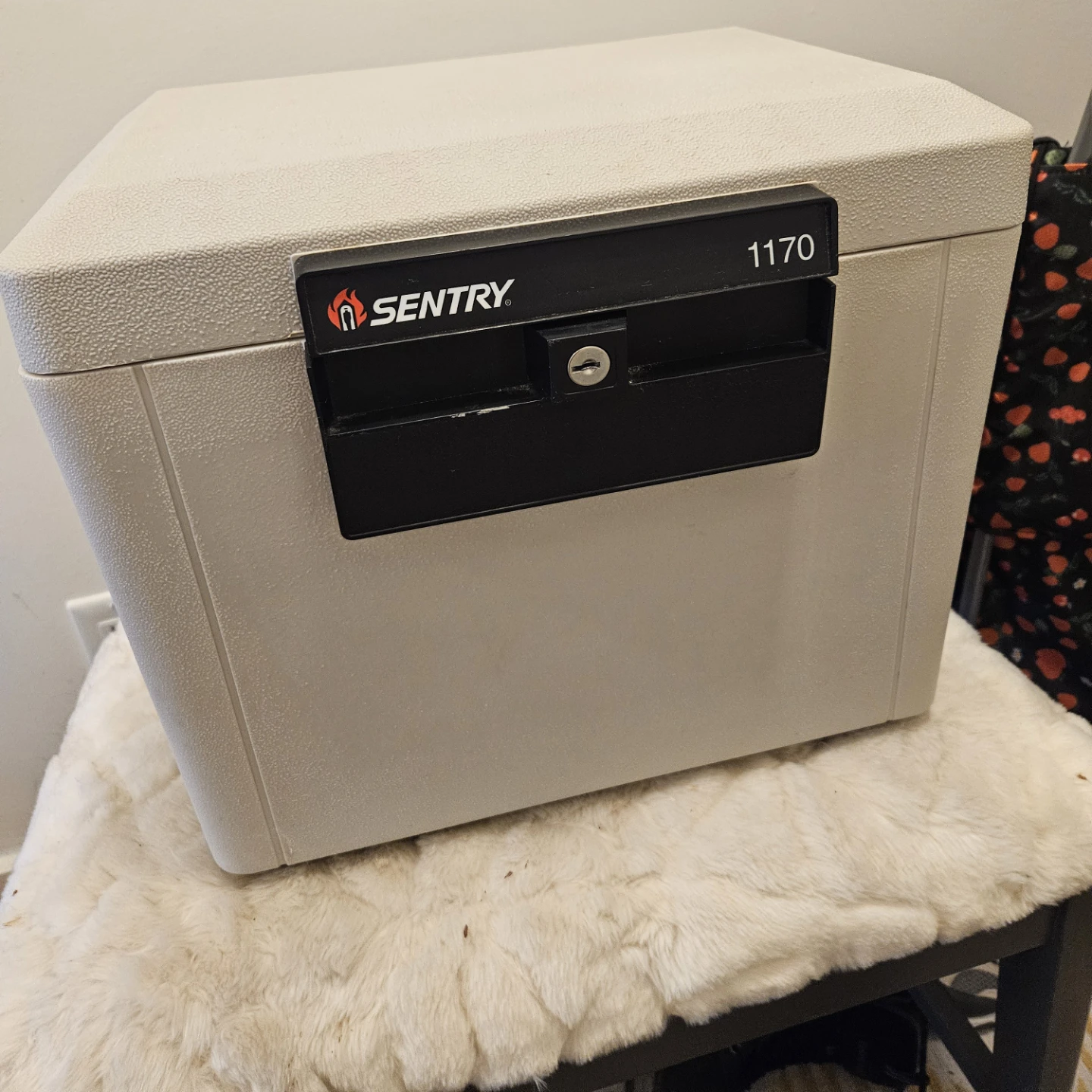 SentrySafe 1170 Fire Chest