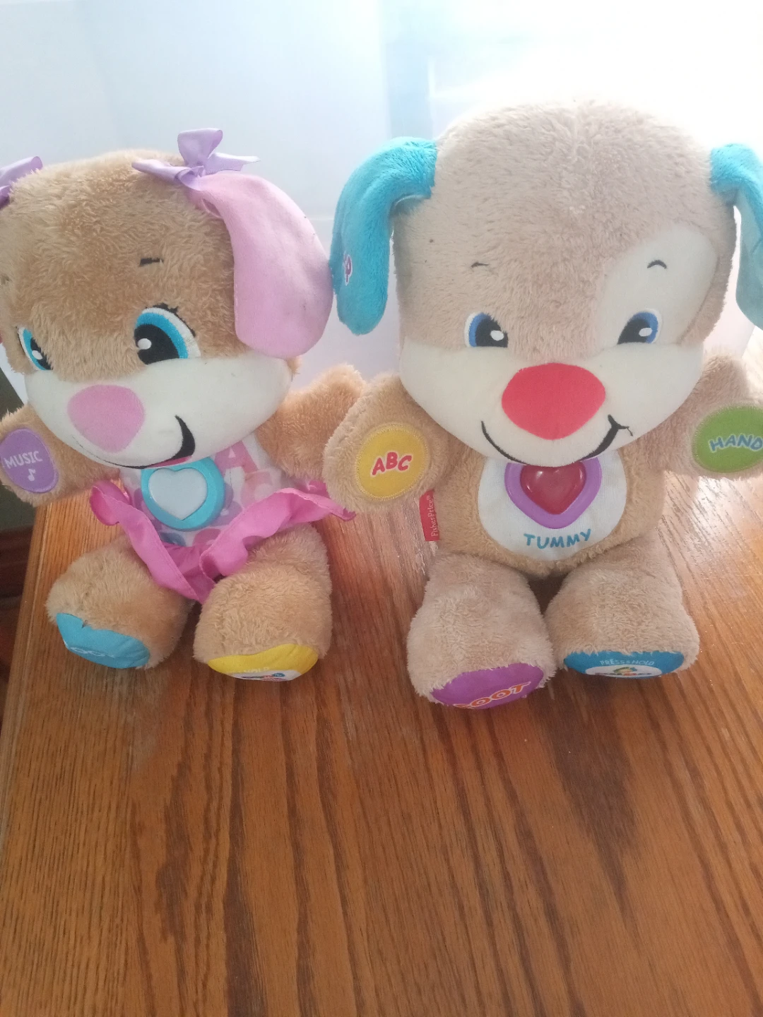 Fisher-Price Laugh & Learn Puppy and new bunny