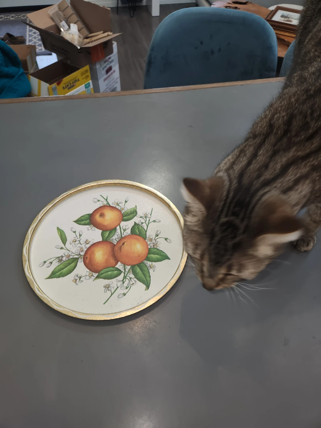 Round Decorative Tray with Oranges & Blossoms - photo 3