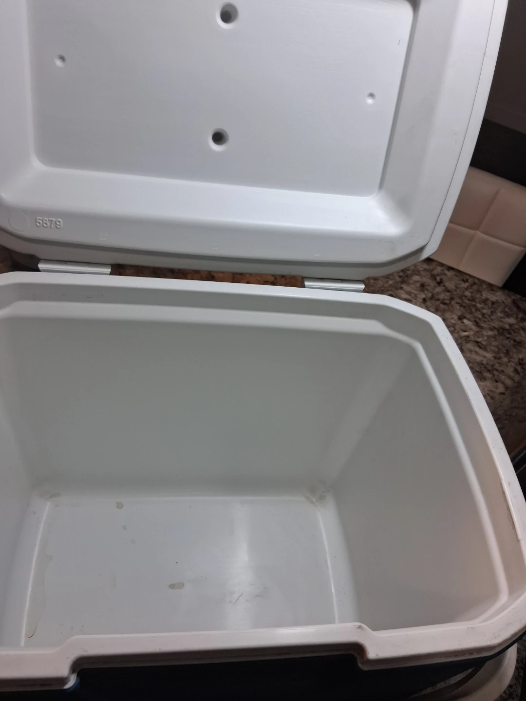 Coleman Blue Cooler - photo 2