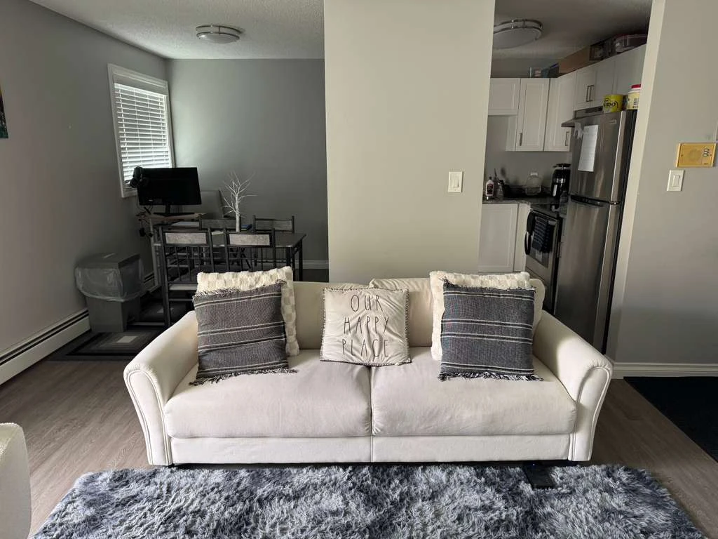 Used Cream Sofa with Pillows