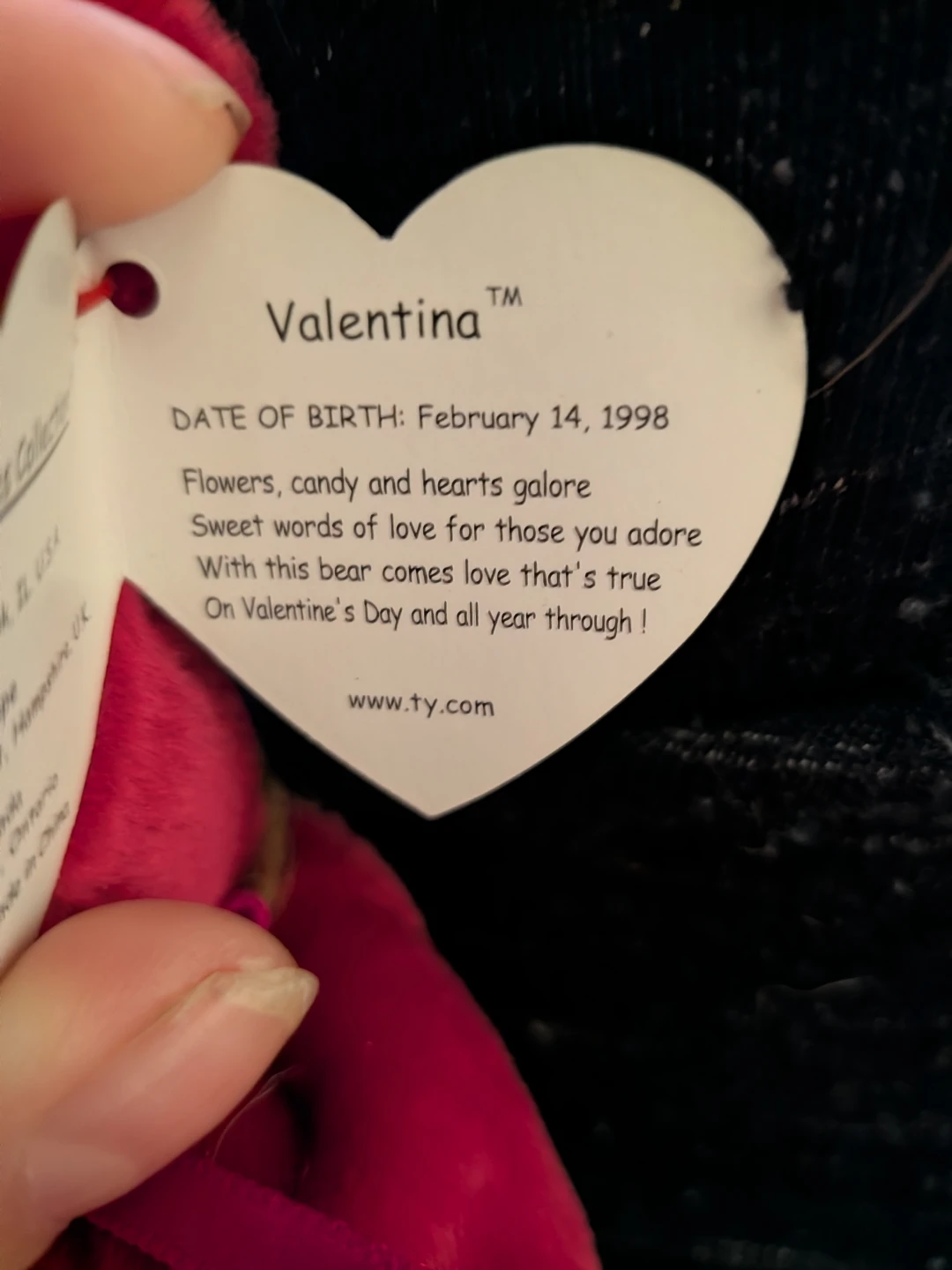 Ty Beanie Baby Valentina Bear - photo 5