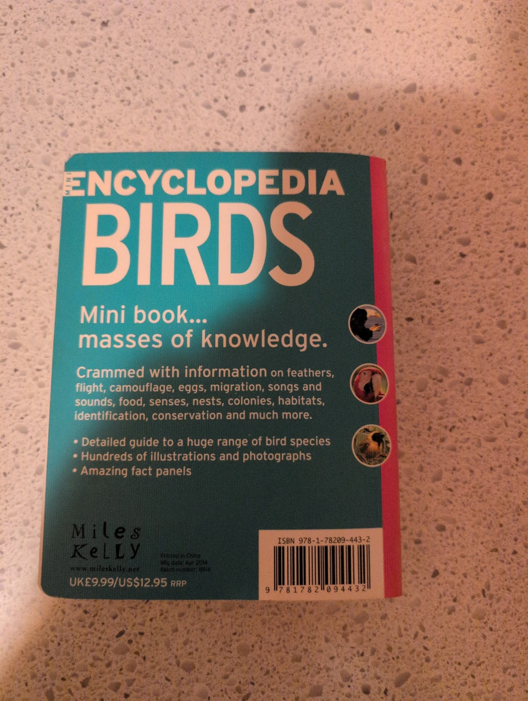 Mini Encyclopedia of Birds Book - photo 2