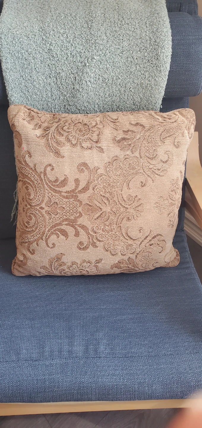 Decorative Throw Pillow - Reversible - photo 2