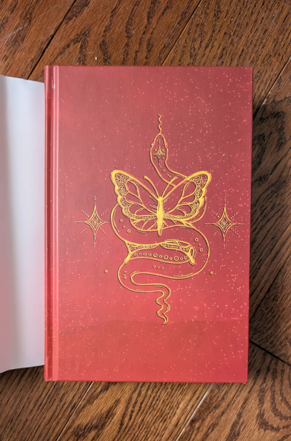 Daughter of No World's Hardcover - photo 3