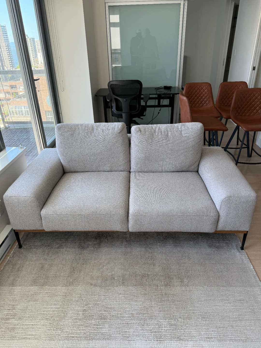 Modern Grey Sofa and Light Area Rug