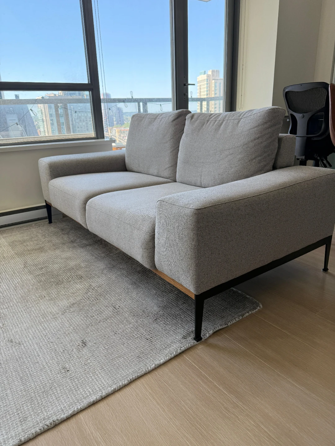 Modern Grey Sofa and Light Area Rug - photo 2
