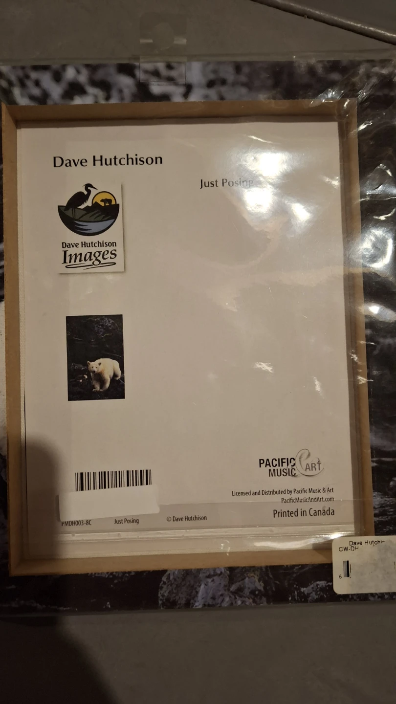 Dave Hutchison Polar Bear Art Print - photo 2
