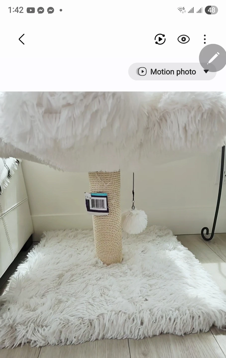 White Fluffy Cat Tree