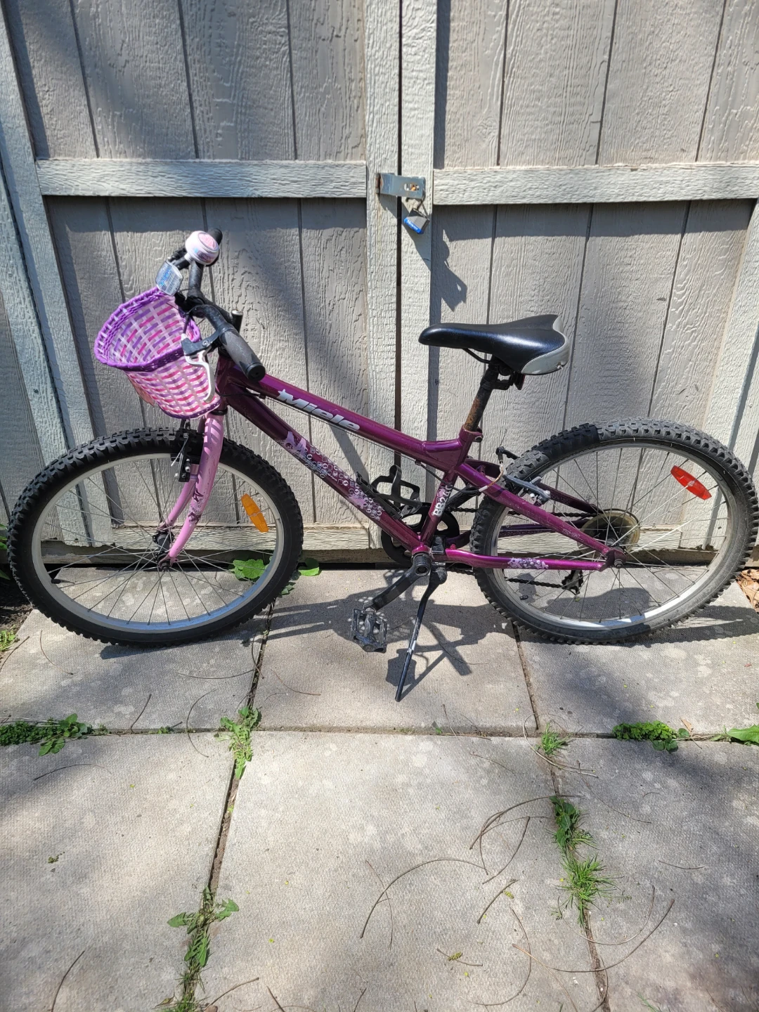 Miele Purple Kids Bike with Basket