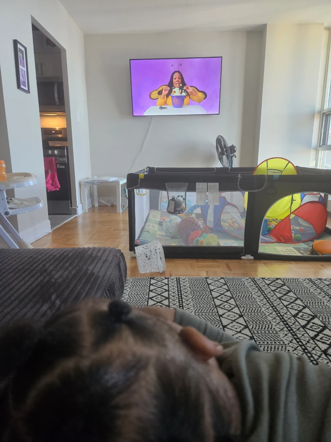 Baby Playpen with Play Mat and Balls