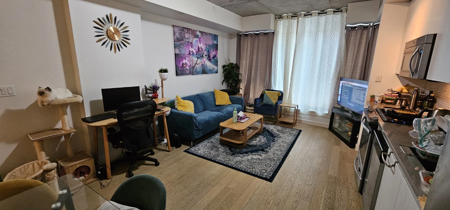 1 bedroom 1 bath Condo for Rent