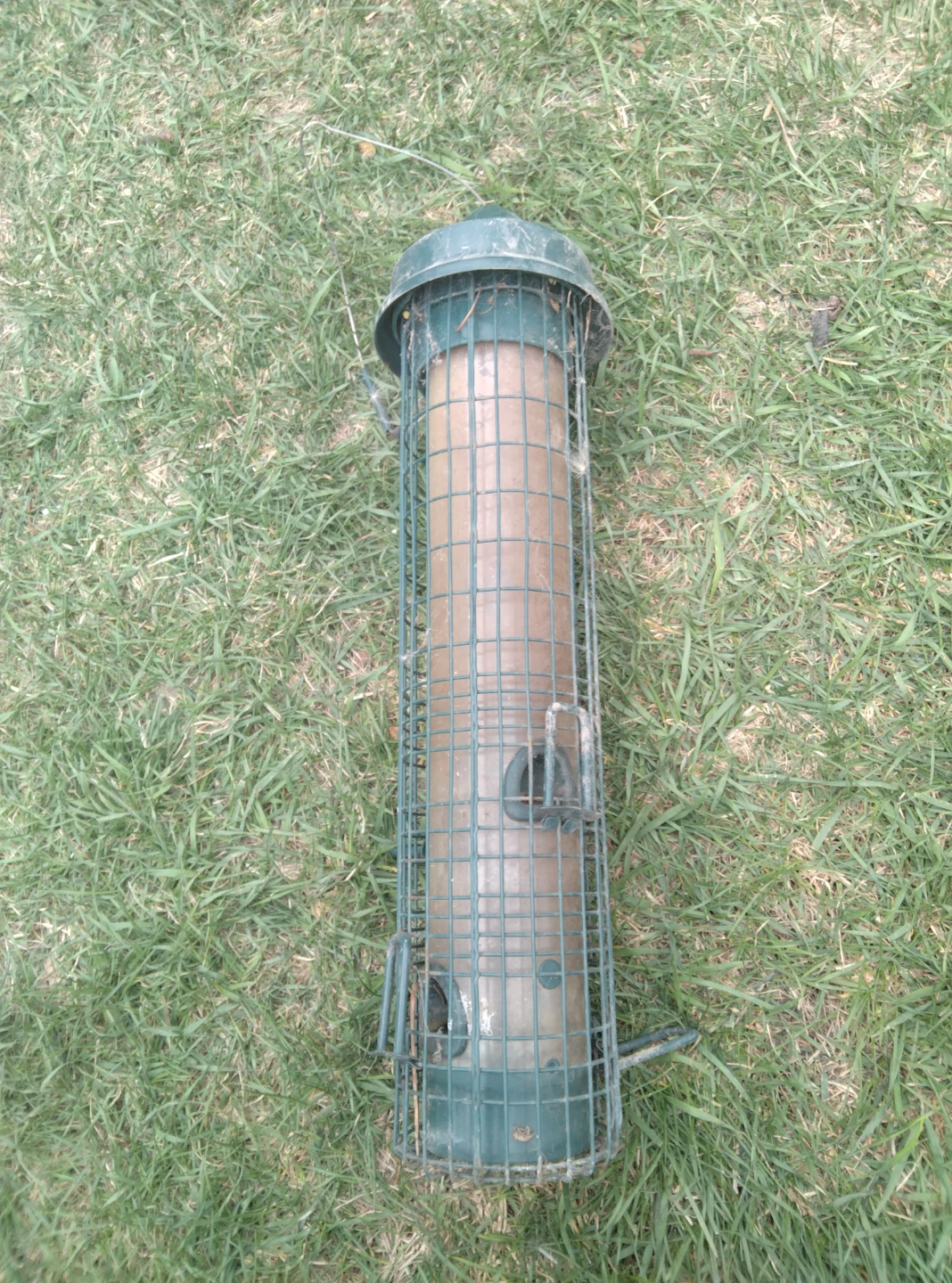 Green Metal Tube Bird Feeder