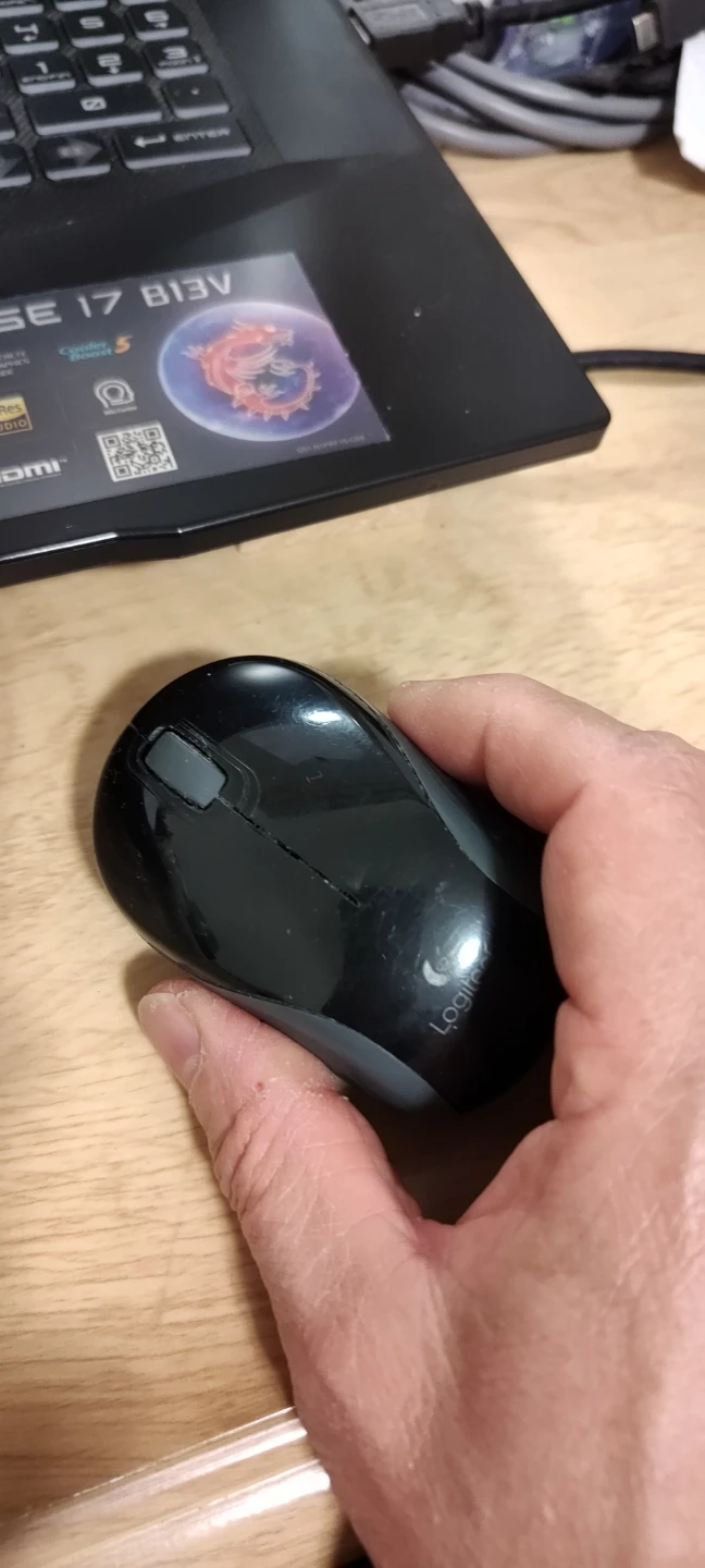 Logitech Wireless Mouse