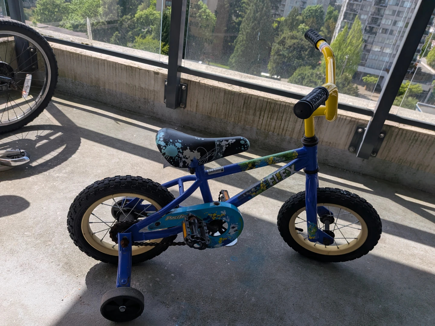 Pacific Flex Kids Bike with Training Wheels