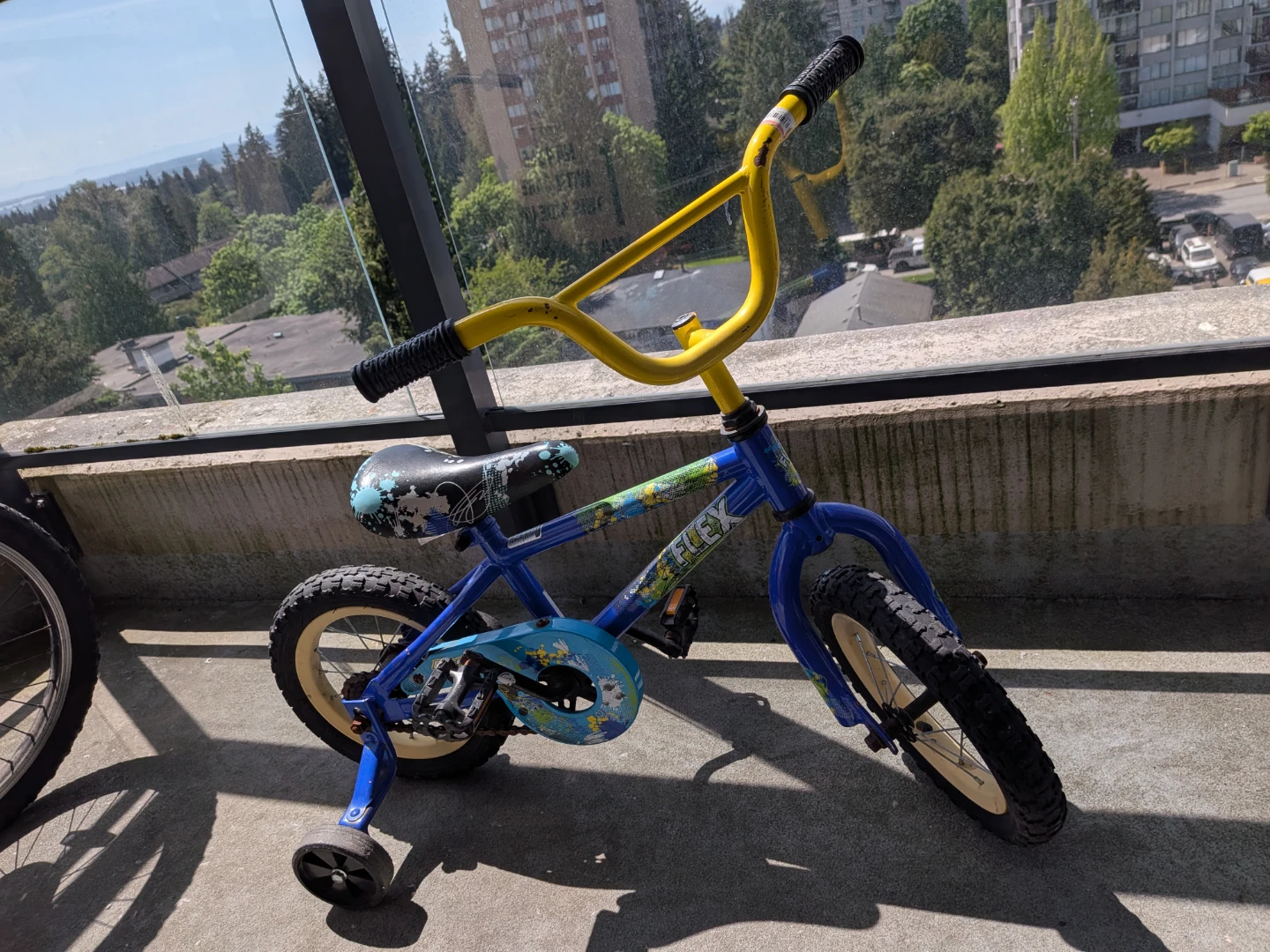 Pacific Flex Kids Bike with Training Wheels - photo 4