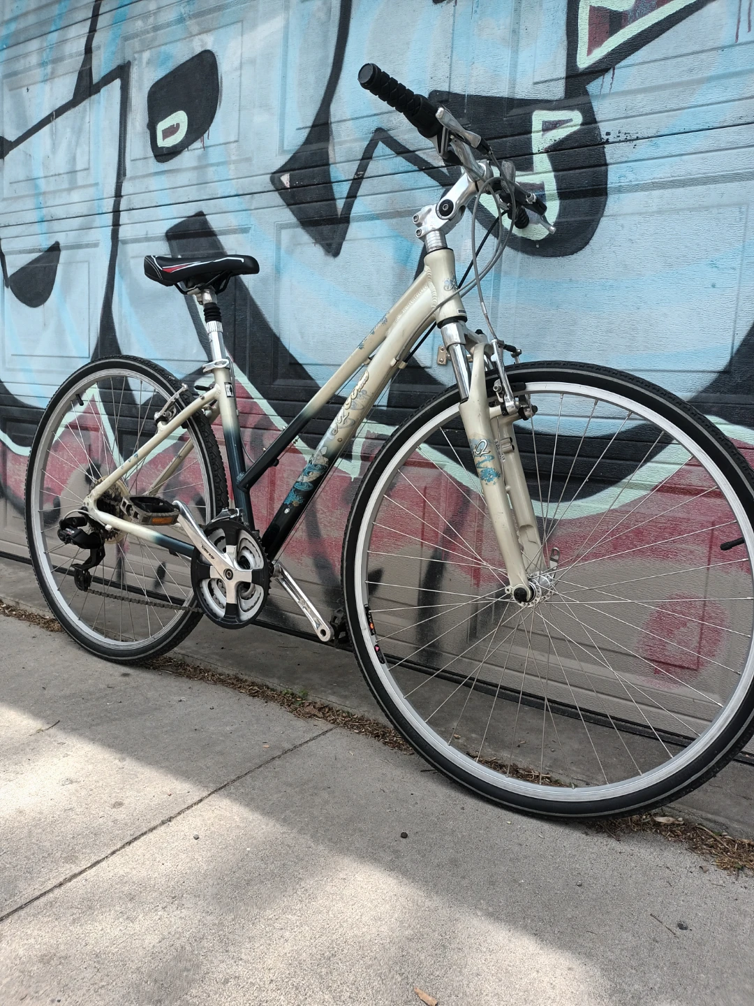 Small Frame Women's Bike - photo 2
