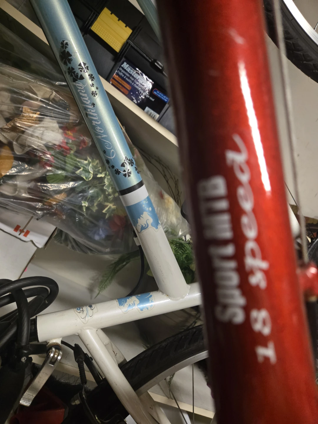 Red 18-Speed Mountain Bike - photo 2