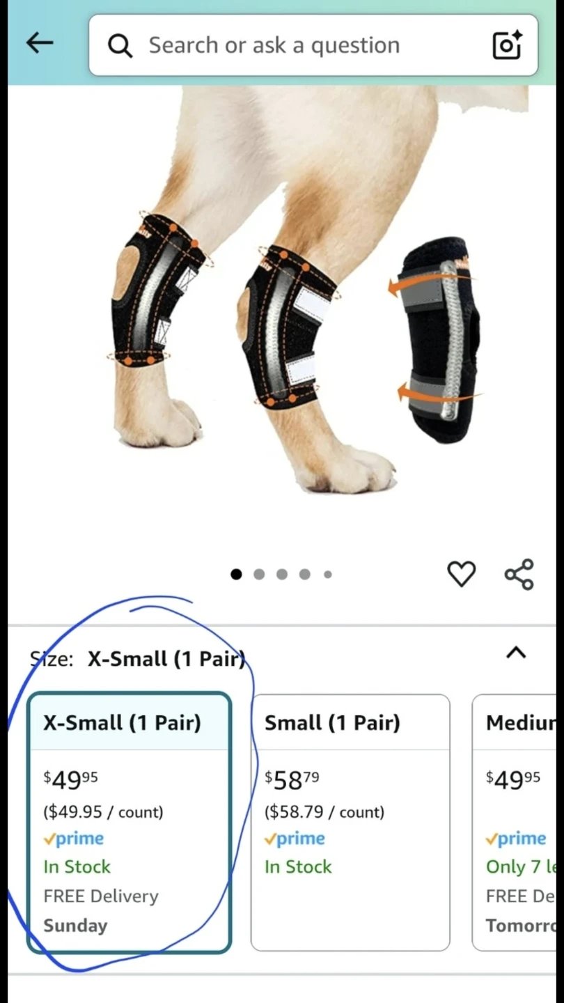 New Super Supportive Dog & Cat Brace for Rear Leg and Hock Brace
