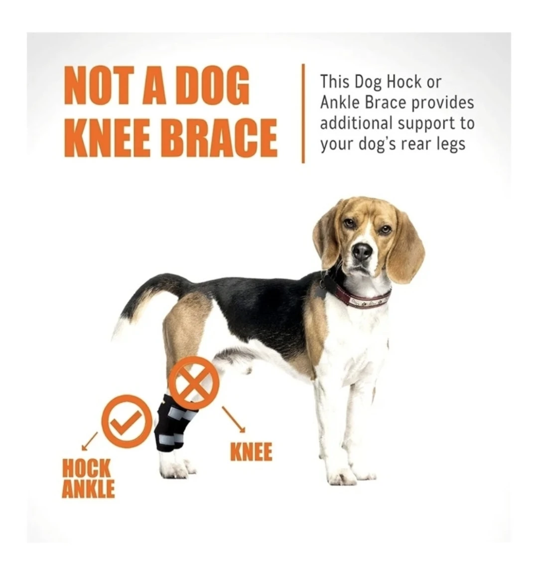 New Super Supportive Dog & Cat Brace for Rear Leg and Hock Brace - photo 3