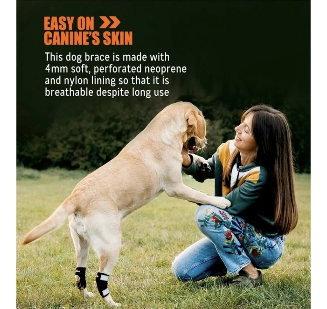 New Super Supportive Dog & Cat Brace for Rear Leg and Hock Brace - photo 4