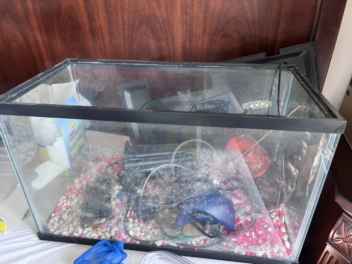 5 gallon fish tank - photo 2