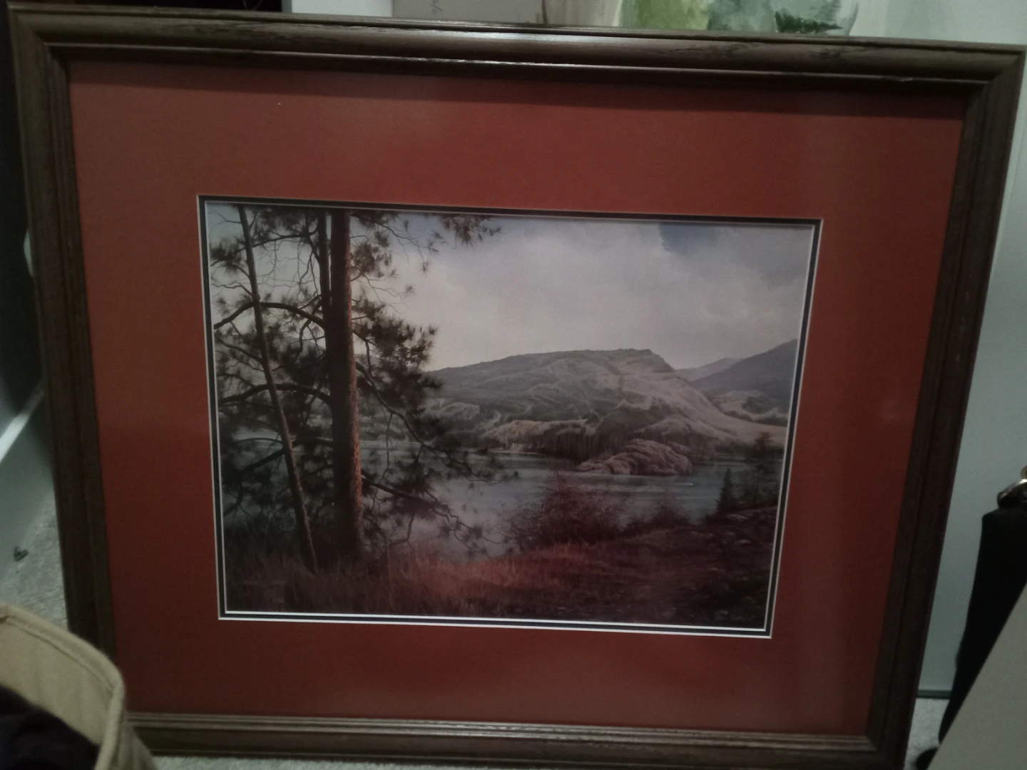 Framed Landscape Print