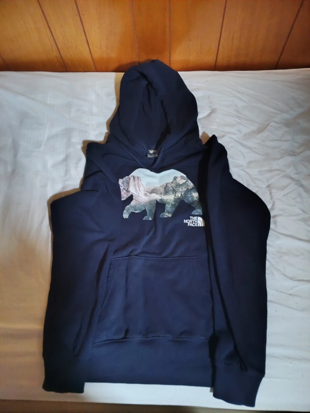 The North Face Navy Mountain Bear Graphic Hoodie