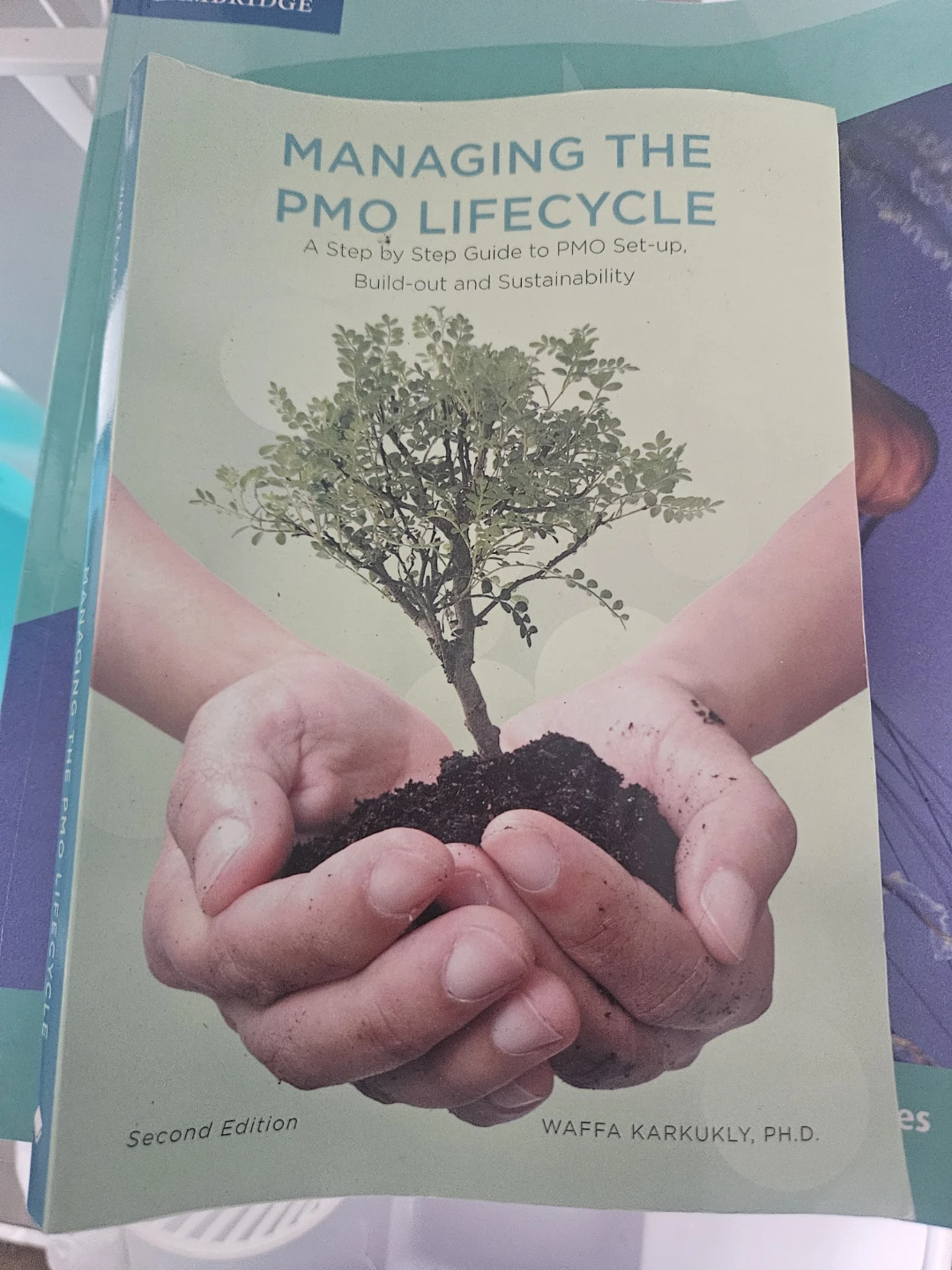 Managing the PMO Lifecycle Book