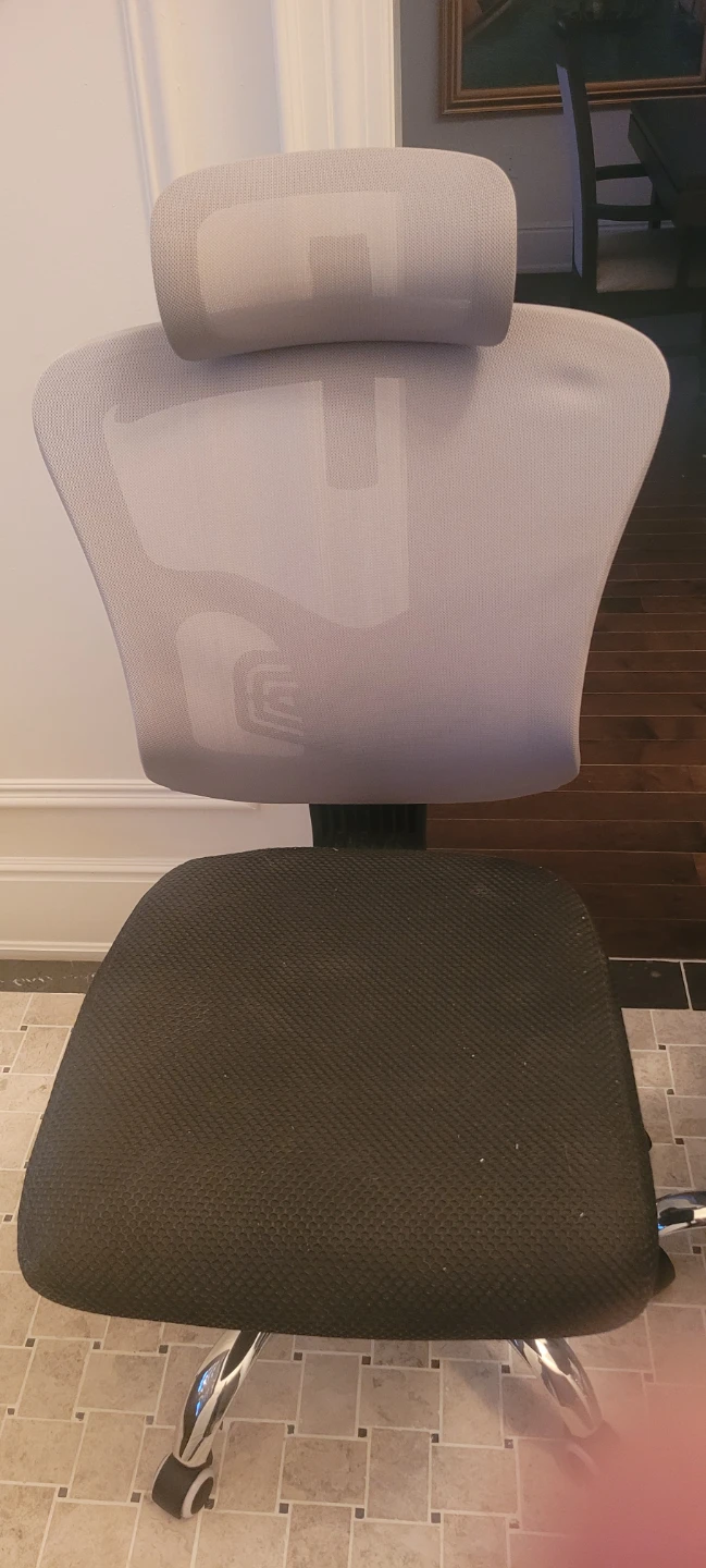 Ergonomic Mesh Office Chair with Headrest