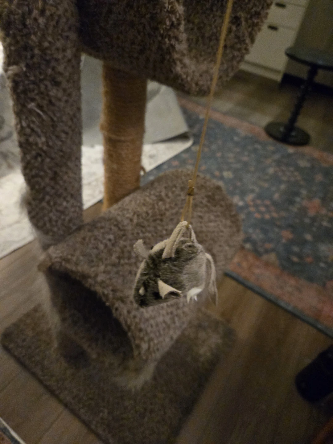 Cat Tree with Hammock and Dangling Toys - photo 3