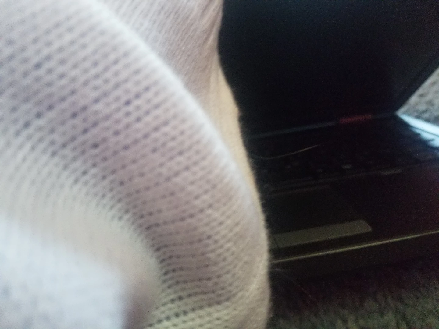 HP ProBook Laptop - photo 4