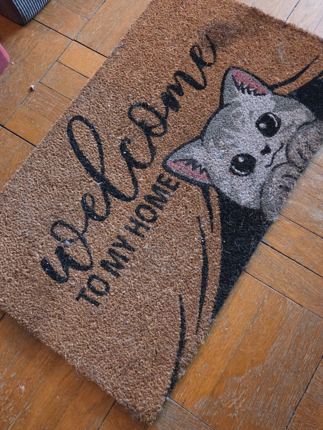 Welcome to My Home Cat Doormat - photo 2