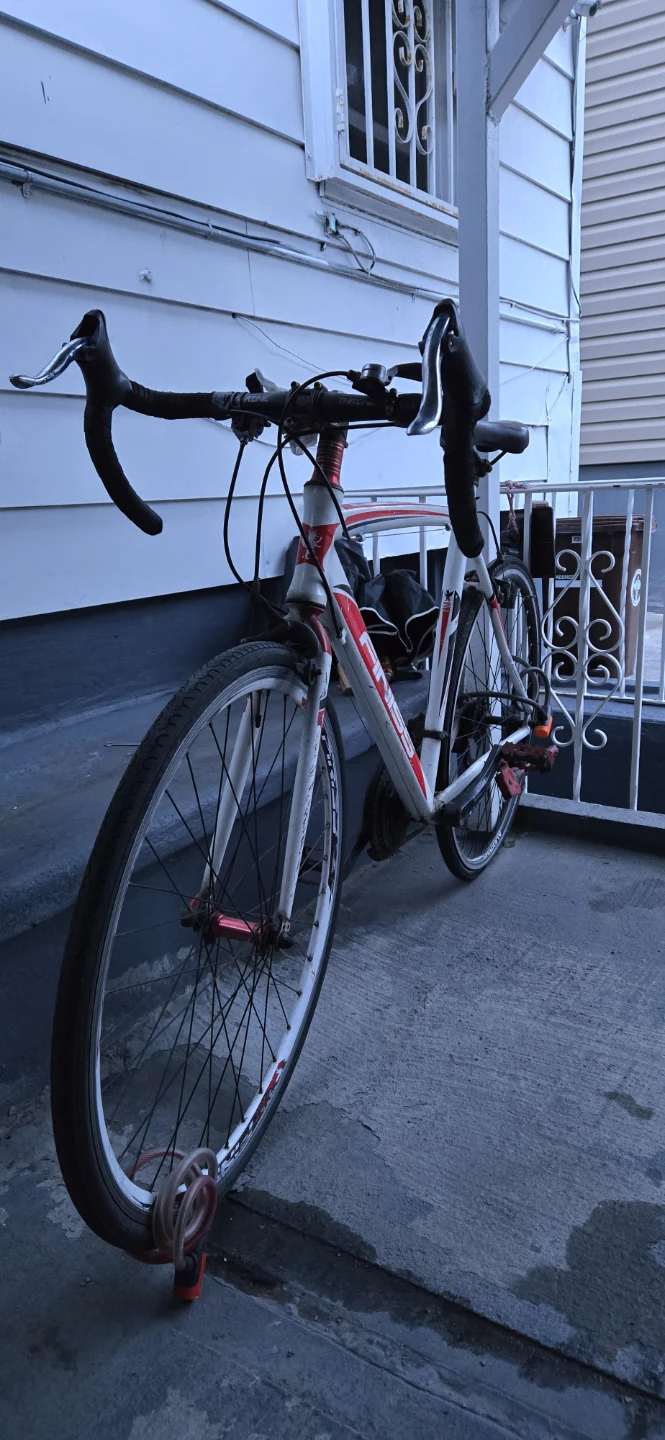 Alpine White Road Bike - photo 3