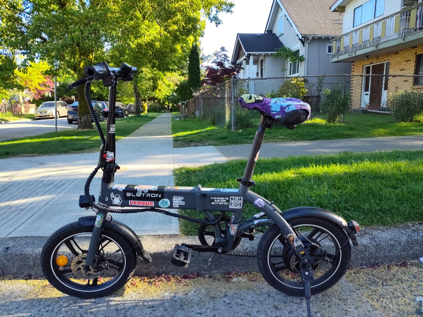 BLUTRON Folding Electric Bike