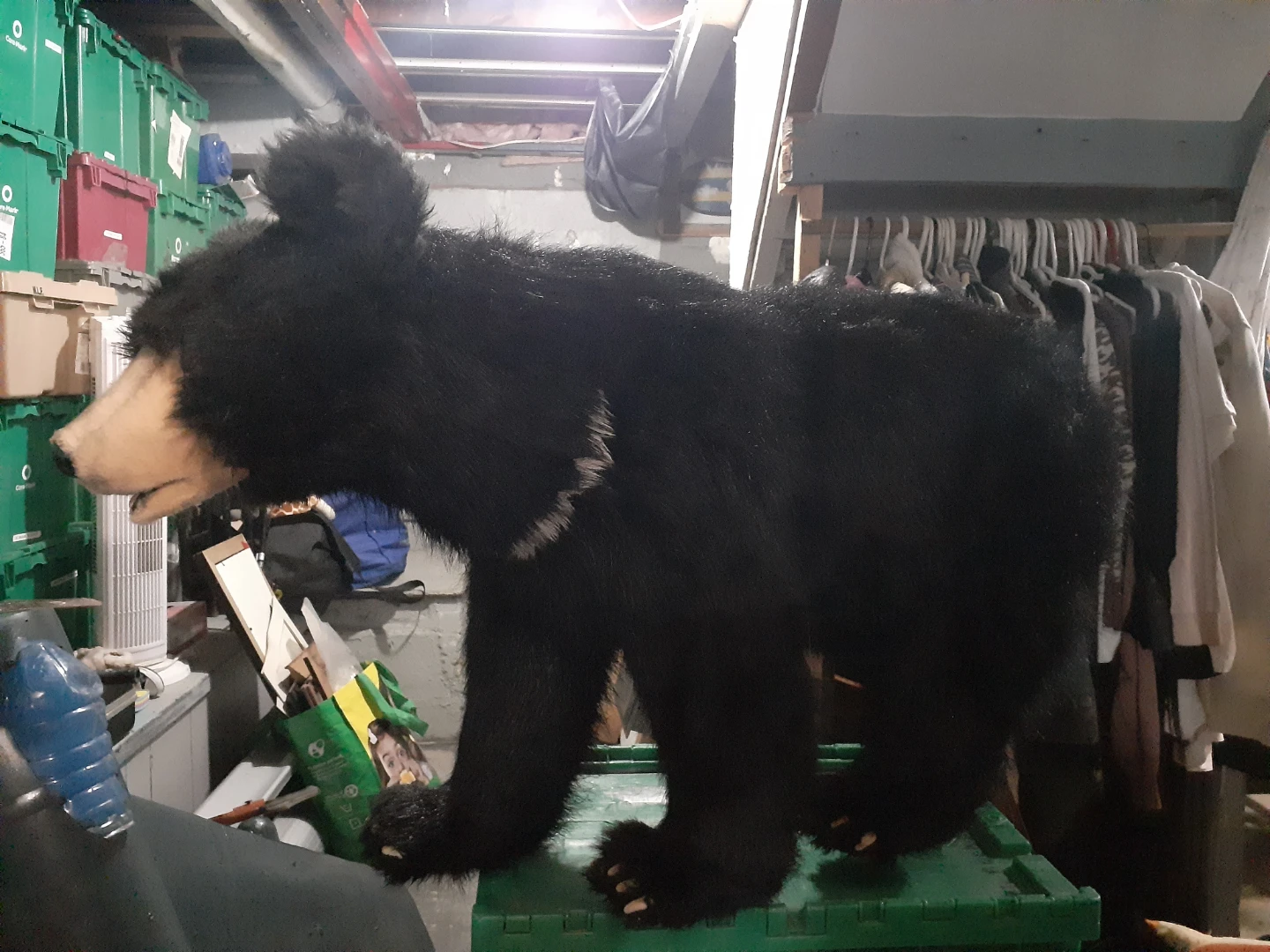 Hansa creations lifesize kids ride on black bear