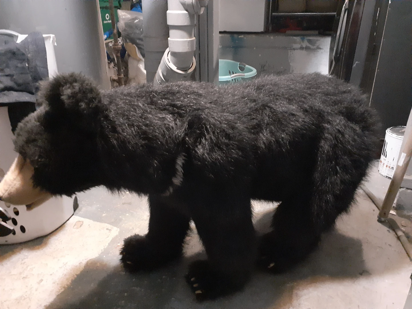 Hansa creations lifesize kids ride on black bear - photo 2