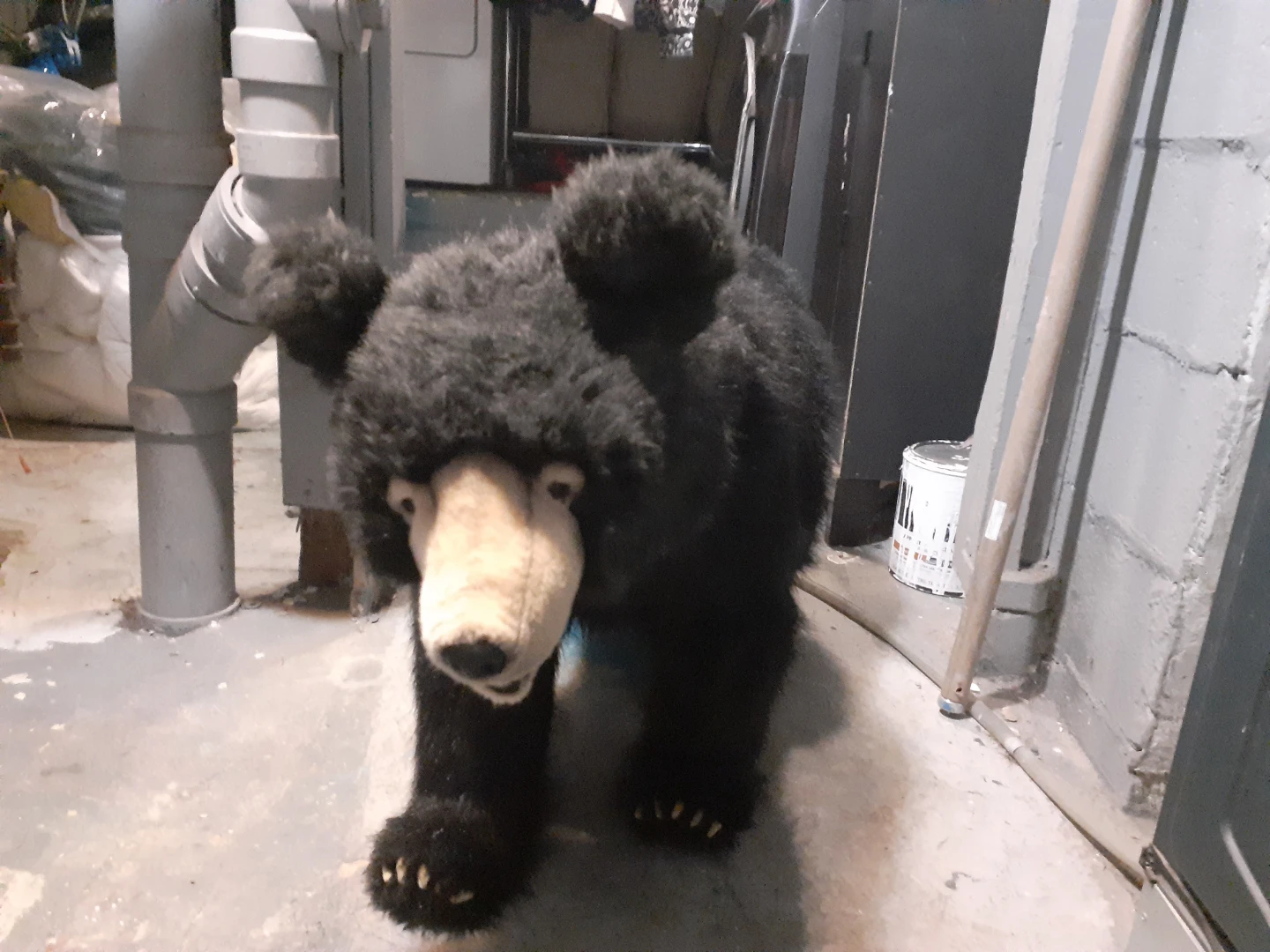 Hansa creations lifesize kids ride on black bear - photo 3