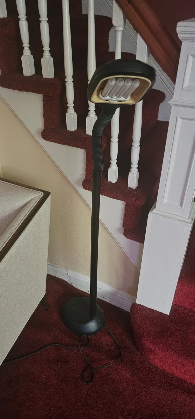 Black Floor Lamp with Adjustable Neck