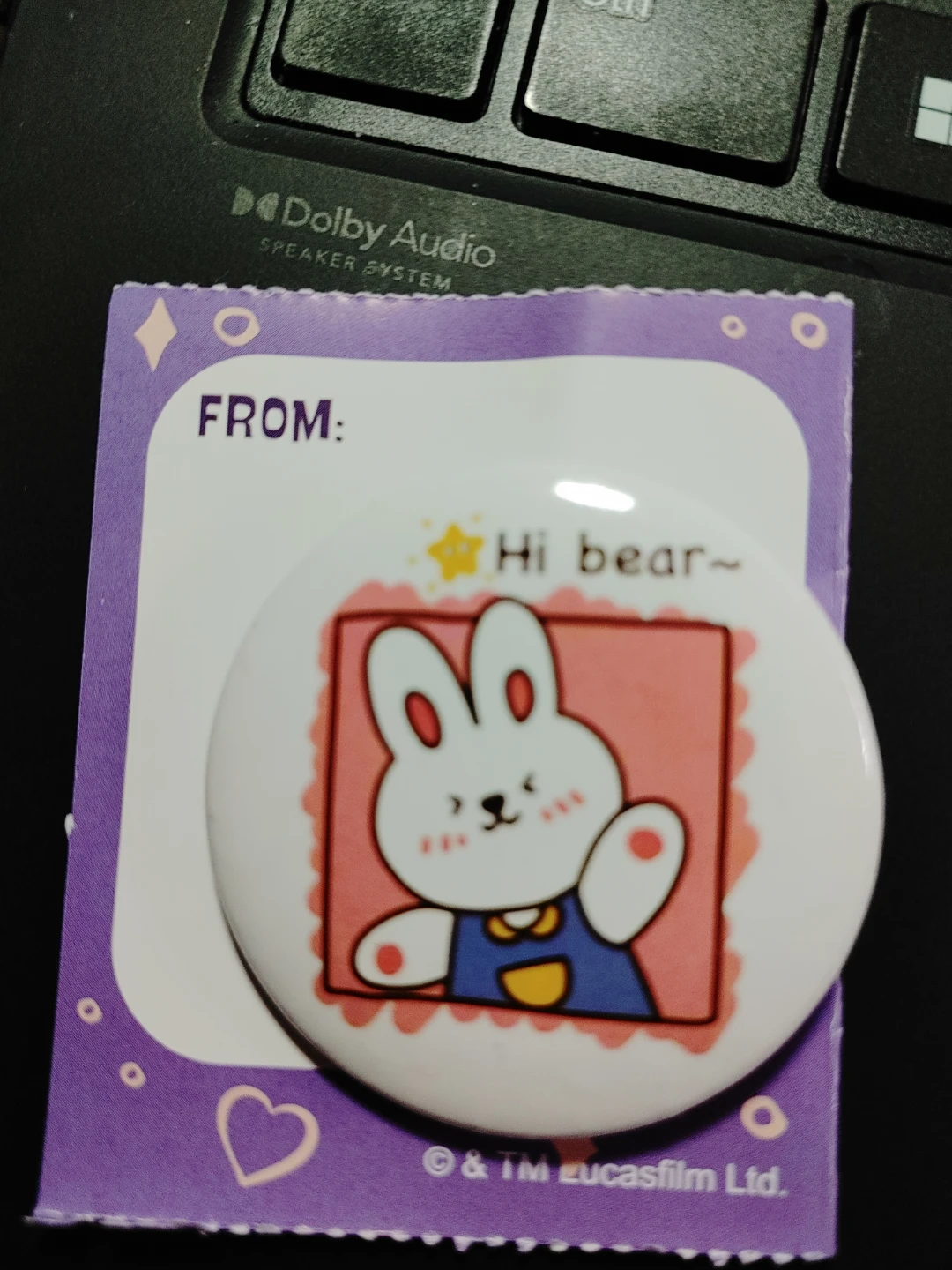 Cute Bunny "Hi bear~" Button Pin
