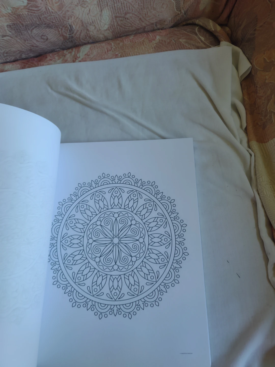 100 Mindful Mandalas coloring book - photo 2