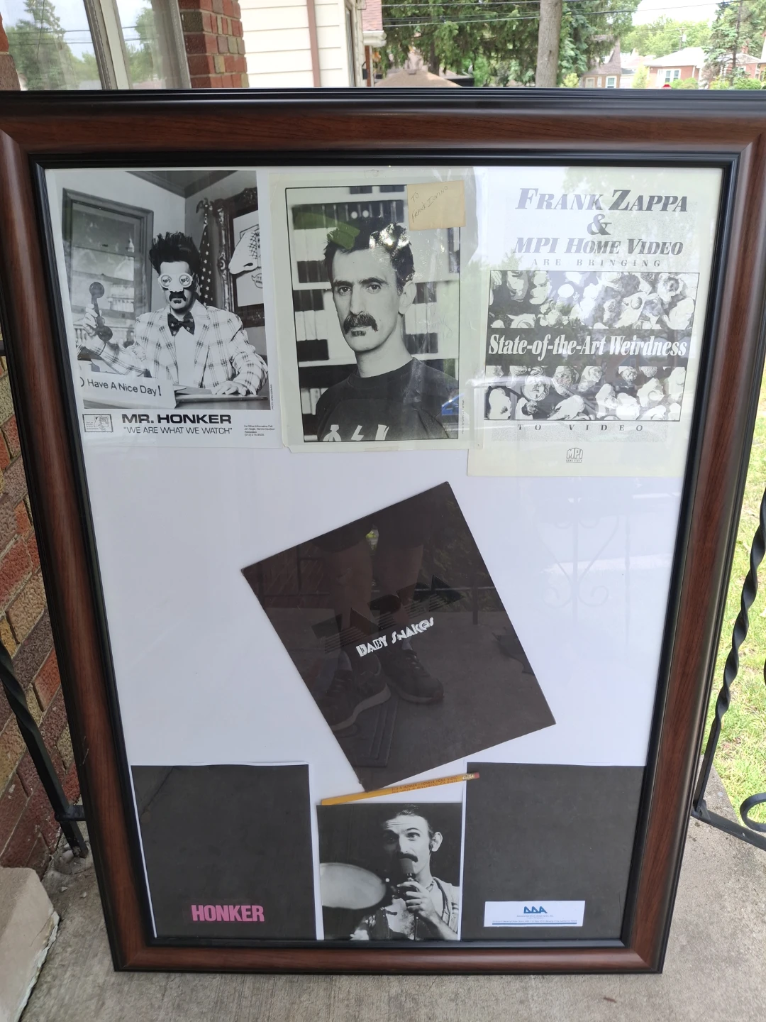 Framed Frank Zappa & Mr. Honker Memorabilia