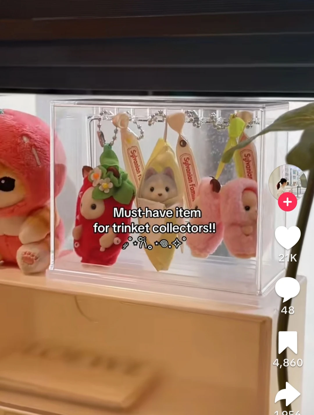 Daiso - Keychain Display Box - photo 5