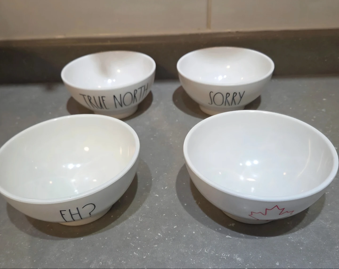 🇨🇦RARE Rae Dunn "True North"  Canadian Theme Dish Set - photo 4