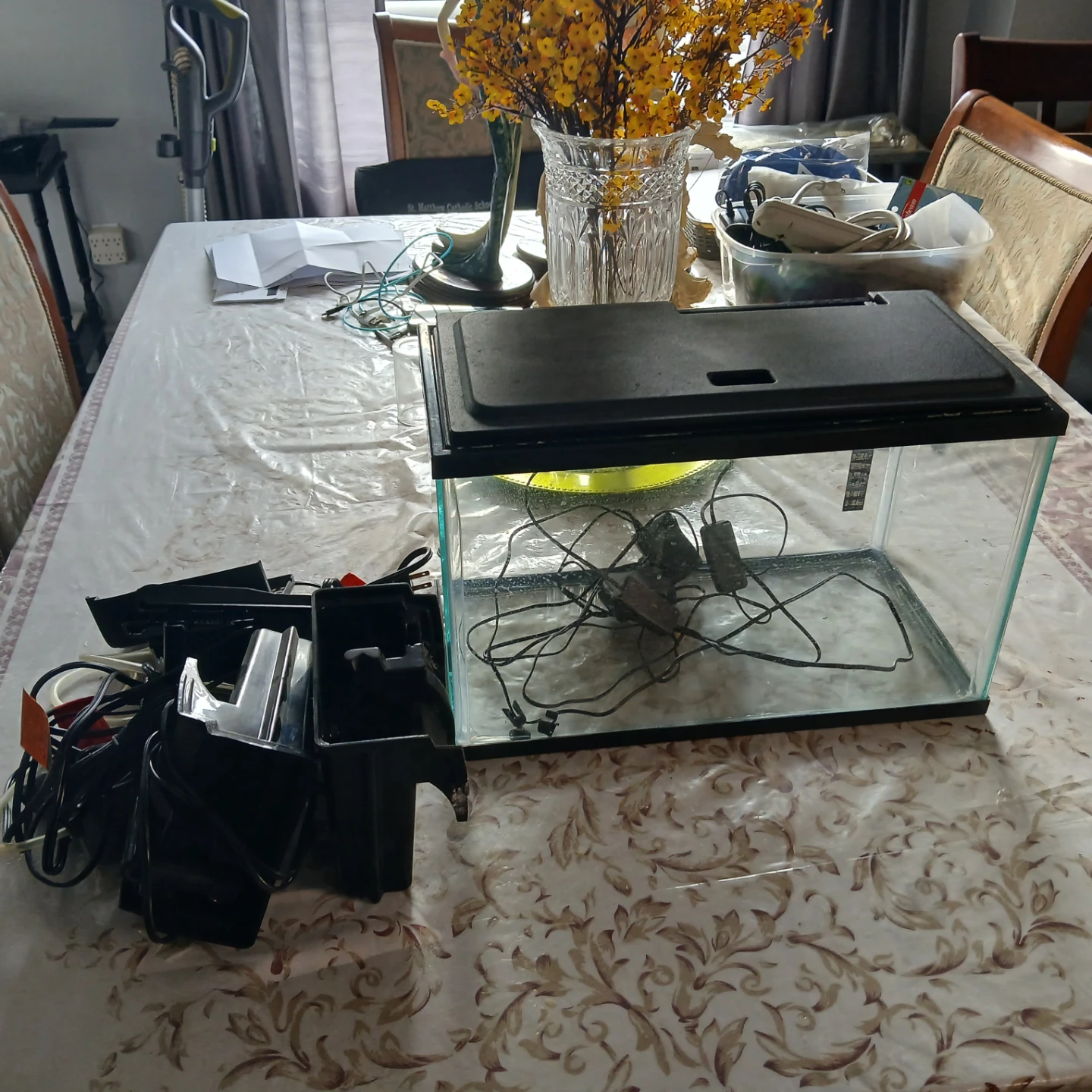 Aquarium Fish Tank with Lid and Filter
