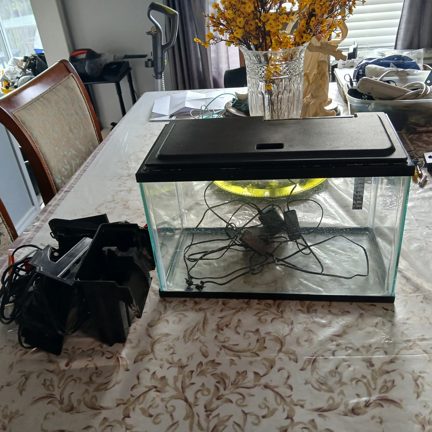Aquarium Fish Tank with Lid and Filter - photo 4