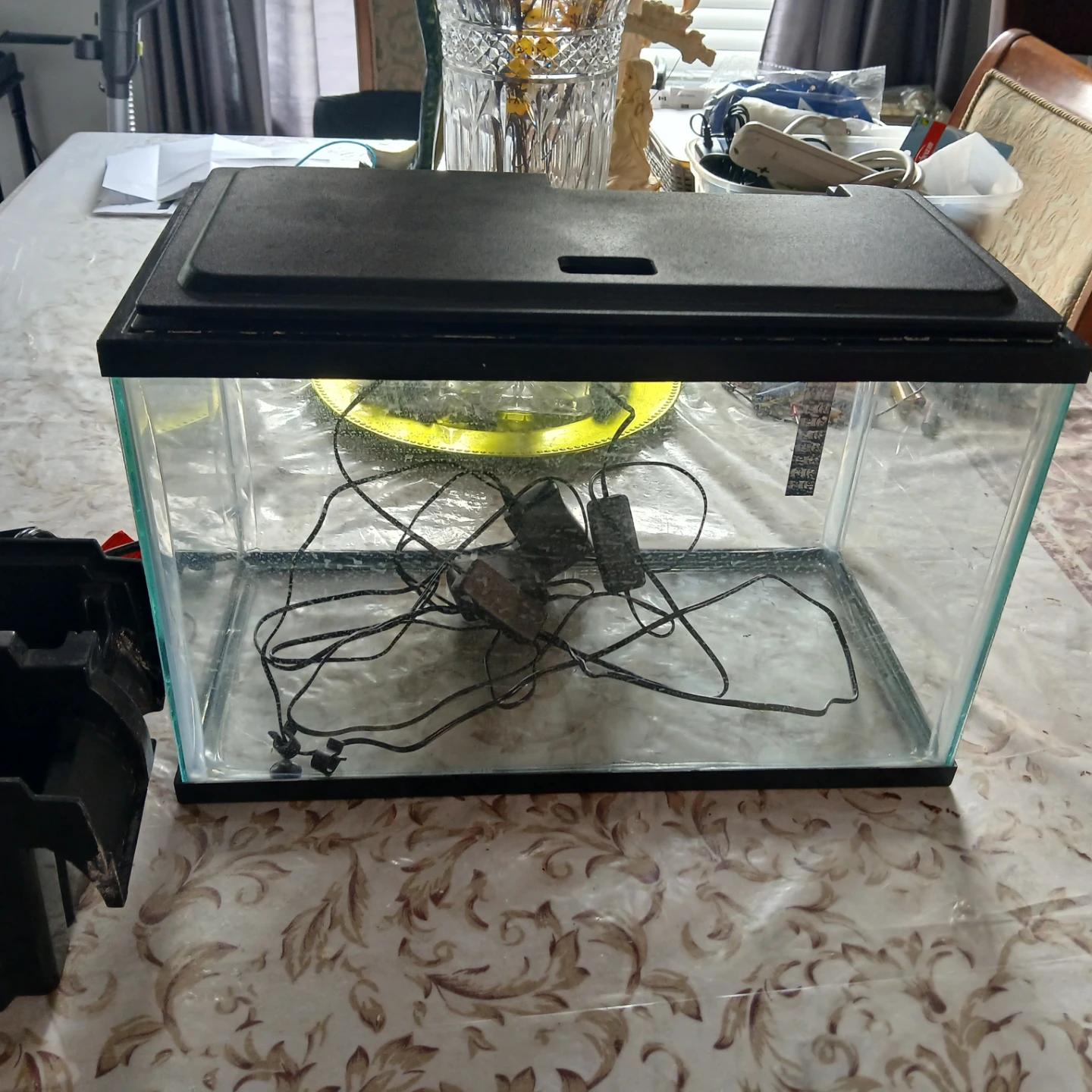 Aquarium Fish Tank with Lid and Filter - photo 5