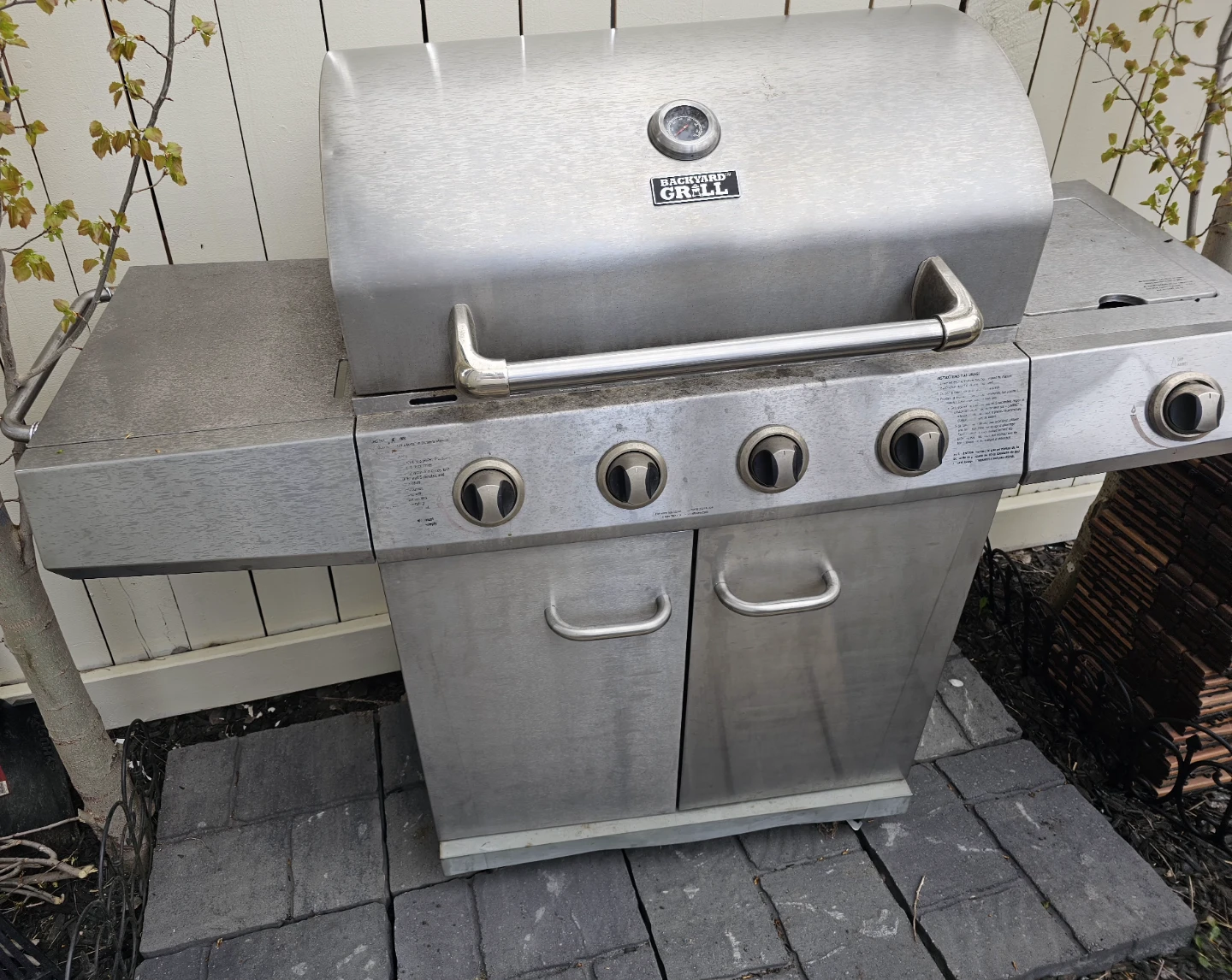 Backyard Grill Gas BBQ